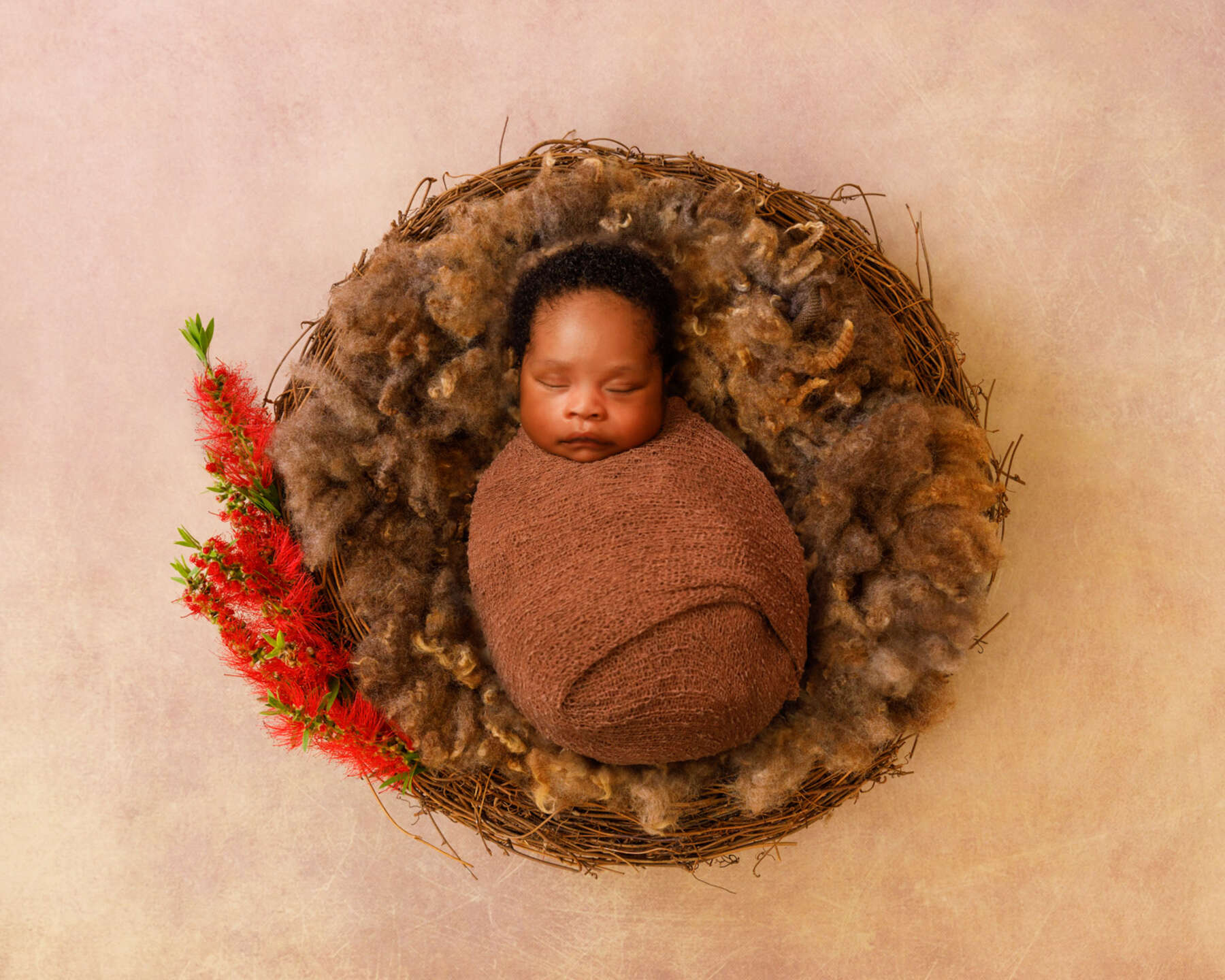 Recent newborn session in Perth