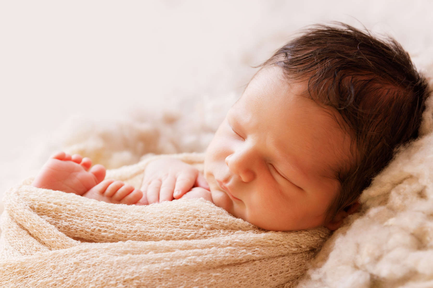Recent newborn session in Perth