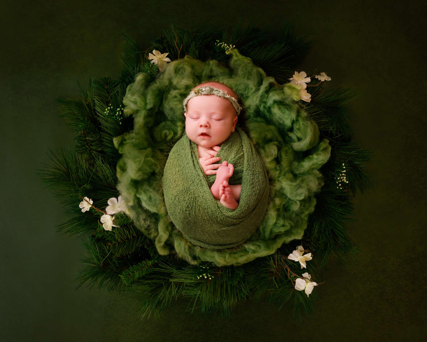 Recent newborn session in Perth