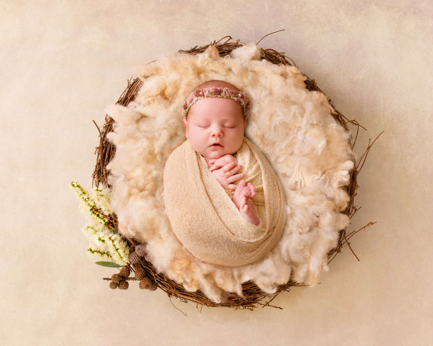 Recent newborn session in Perth