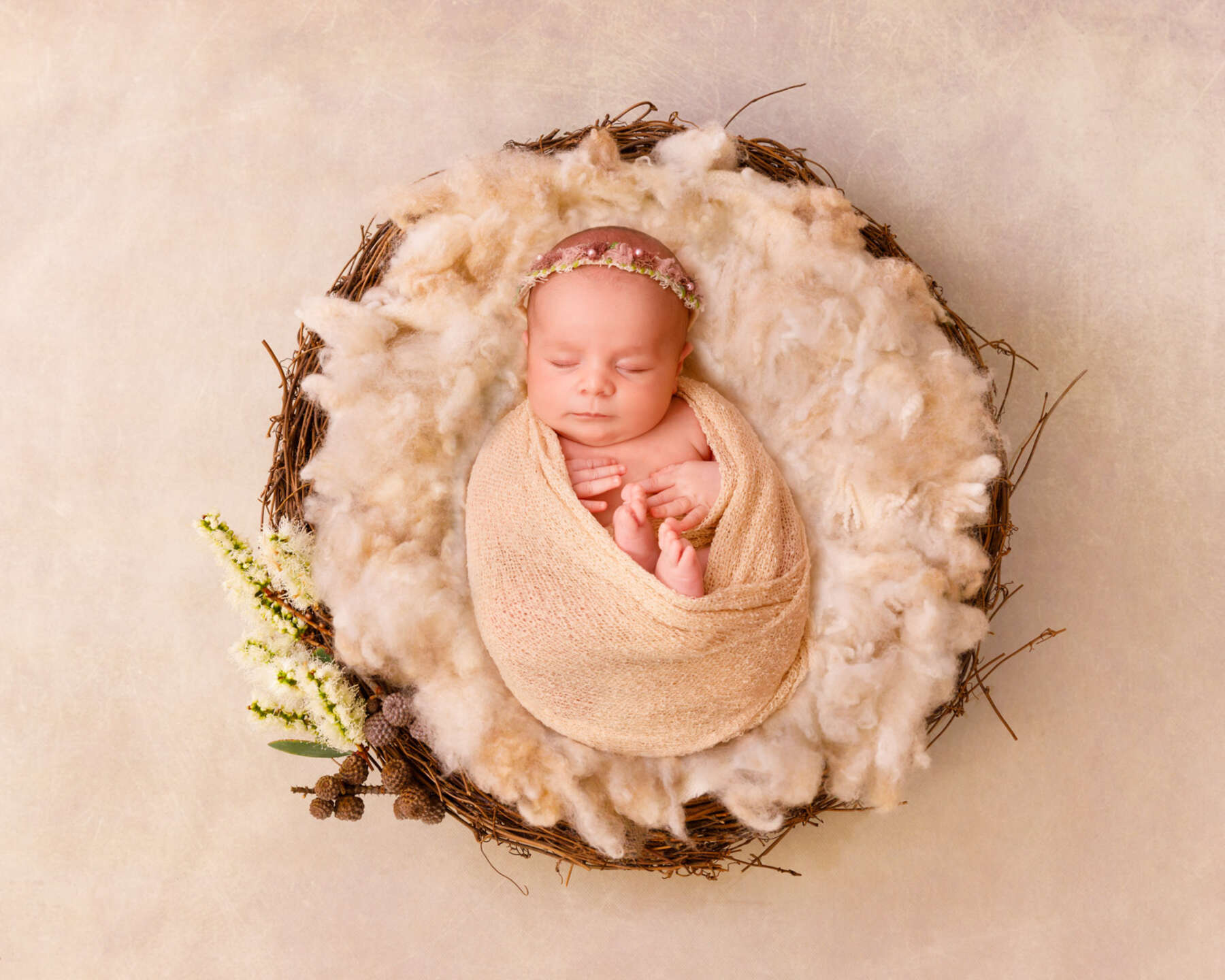 Recent newborn session in Perth