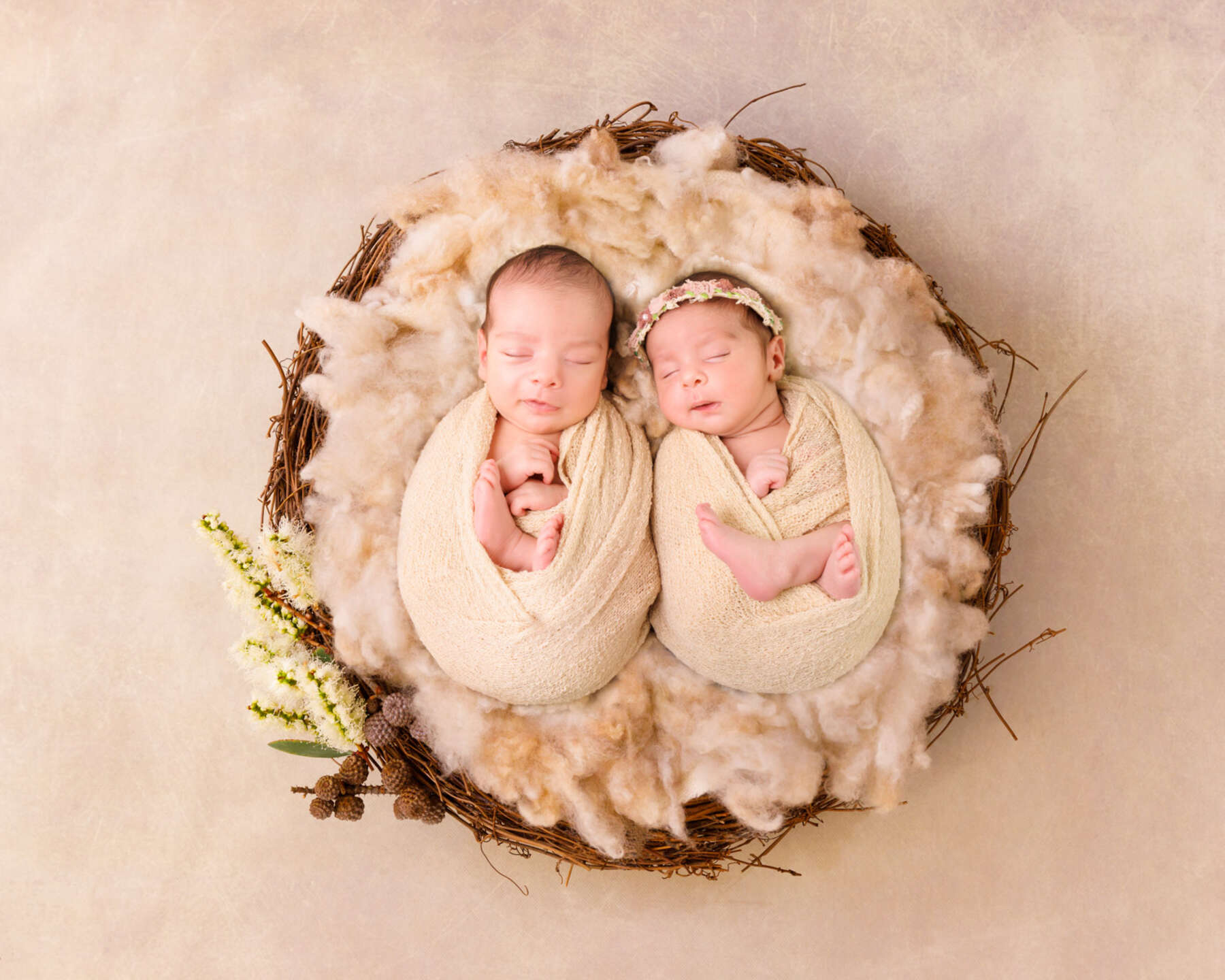 Recent newborn session in Perth