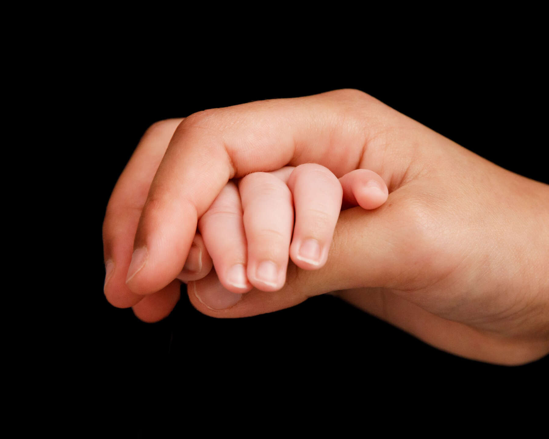 Recent newborn session in Perth