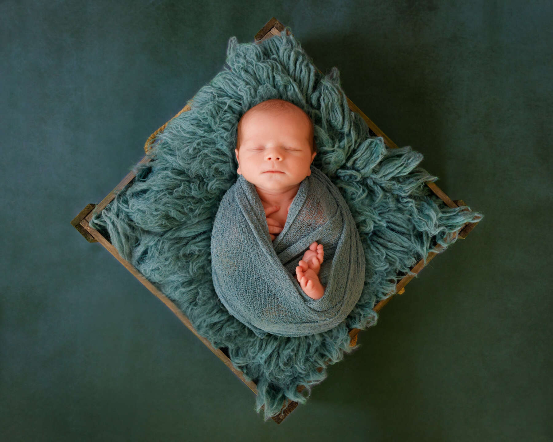 Recent newborn session in Perth