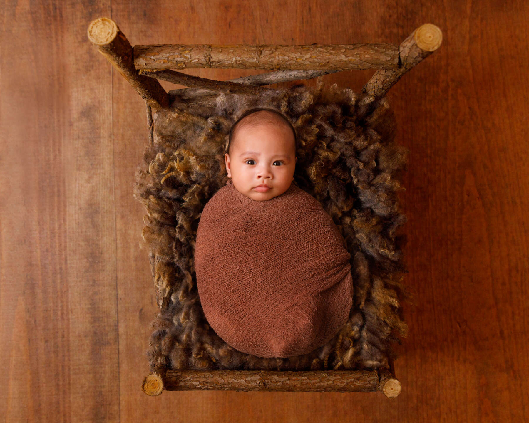 Recent newborn session in Perth