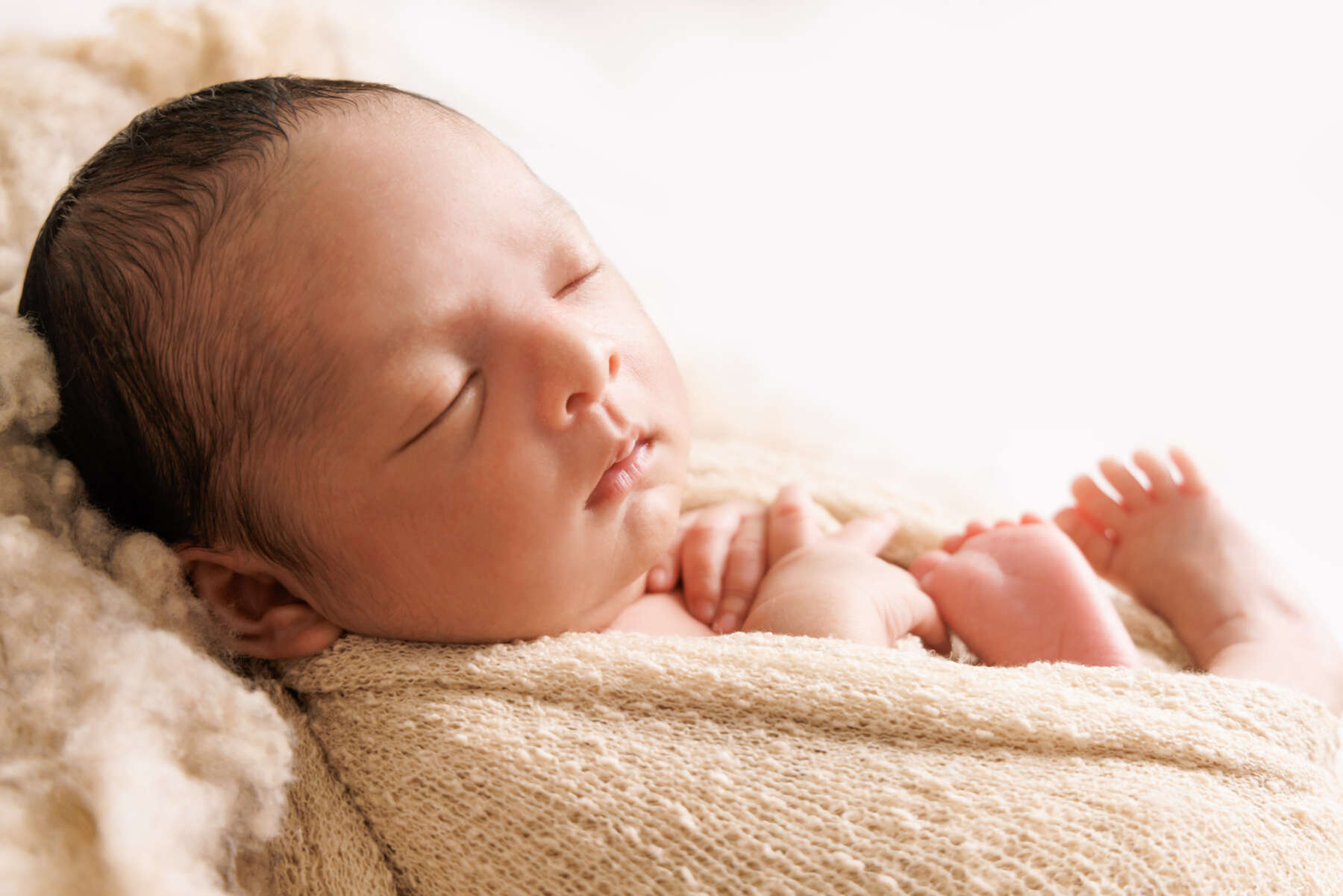 Recent newborn session in Perth