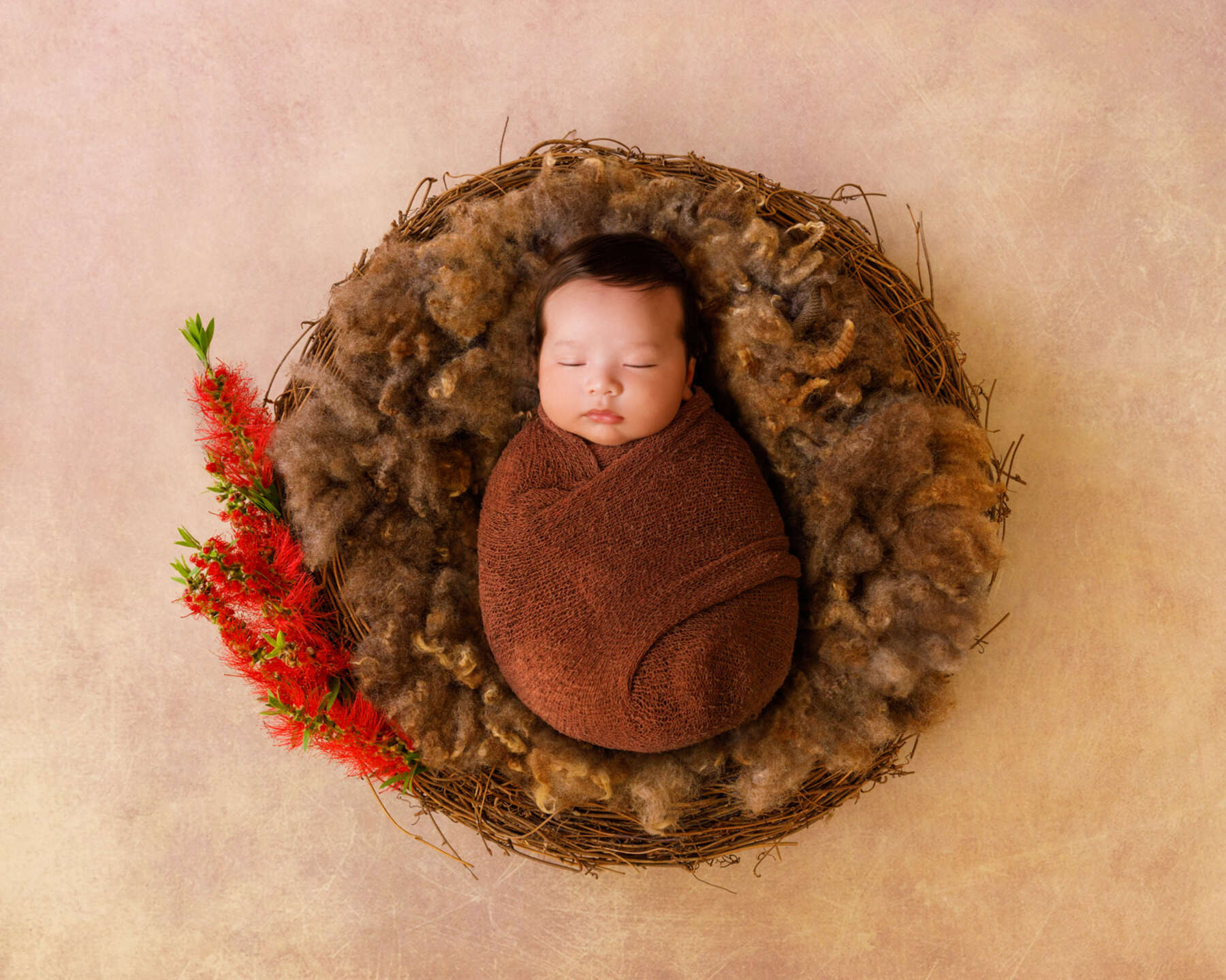 Recent newborn session in Perth