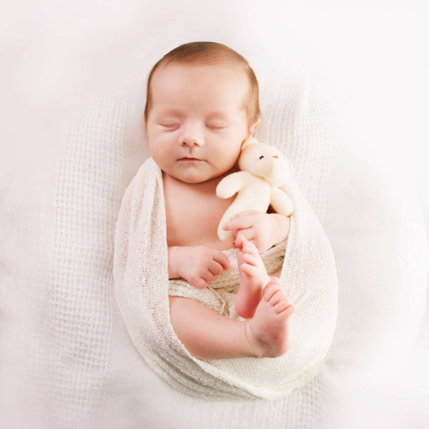 Recent newborn session in Perth
