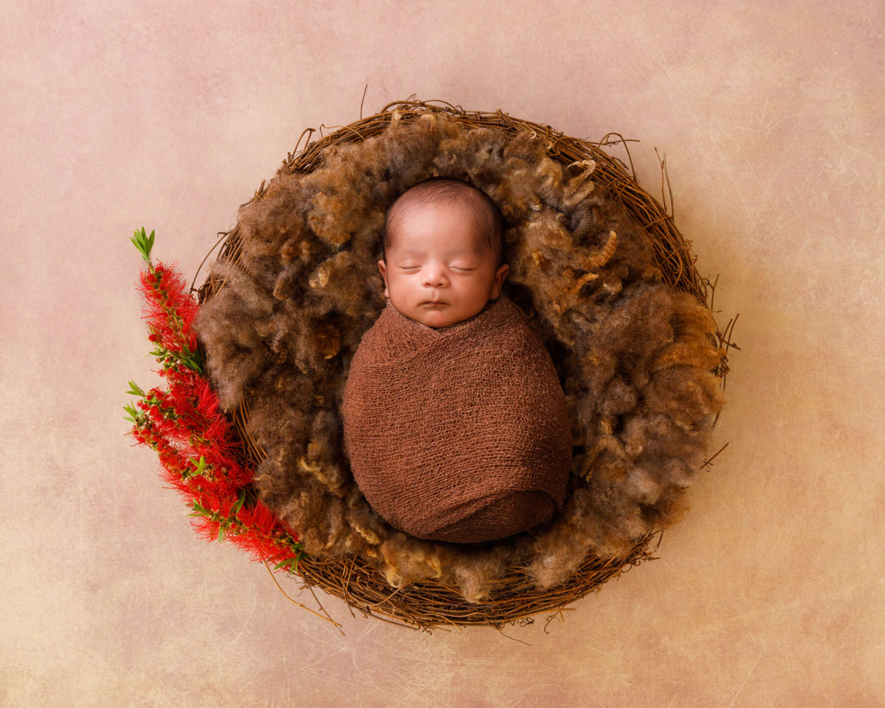 Recent newborn session in Perth