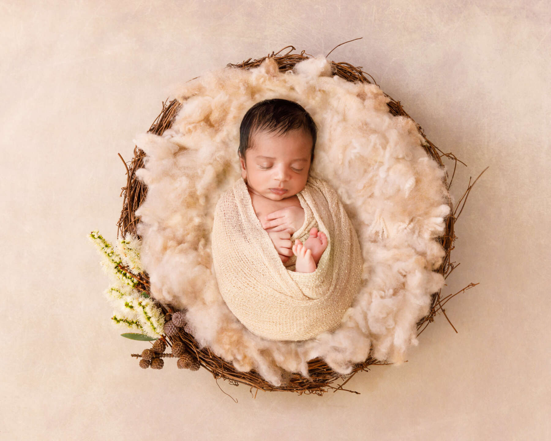 Recent newborn session in Perth