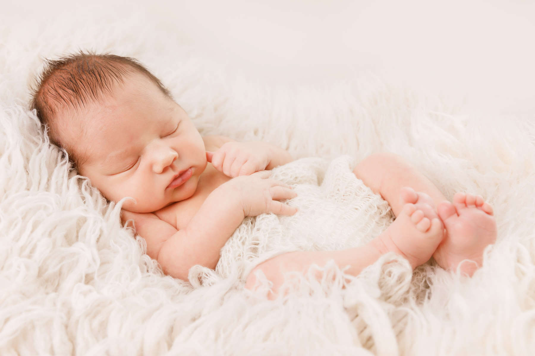 Recent newborn session in Perth