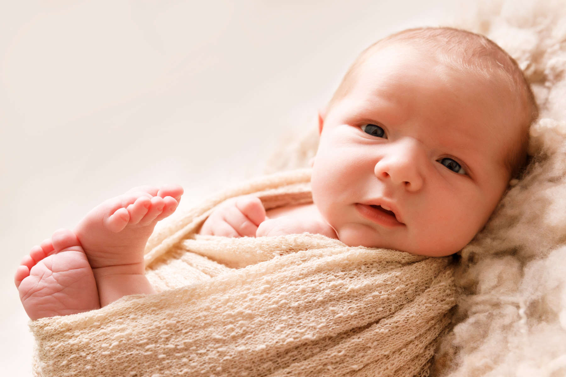 Recent newborn session in Perth