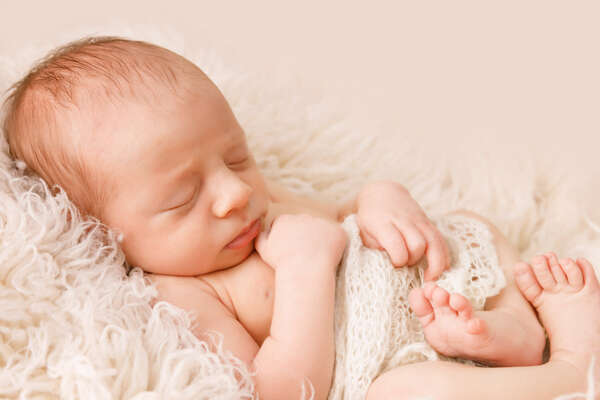 Recent newborn session in Perth