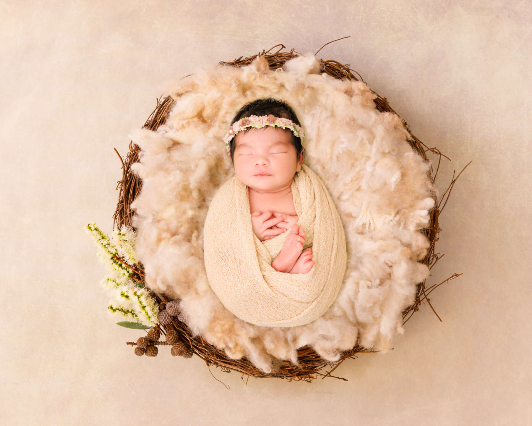 Recent newborn session in Perth