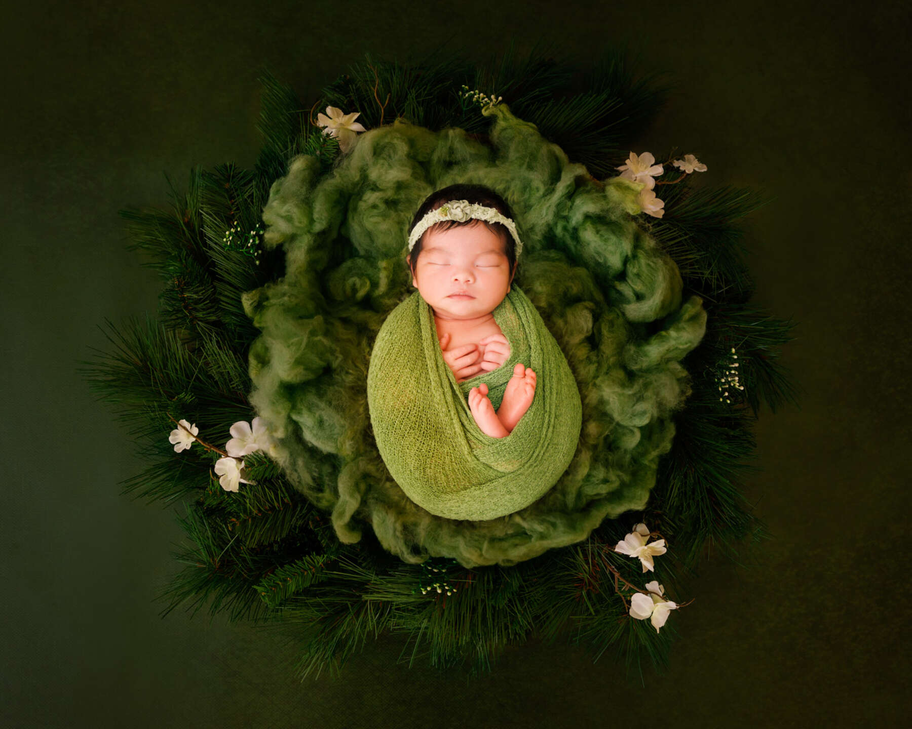 Recent newborn session in Perth