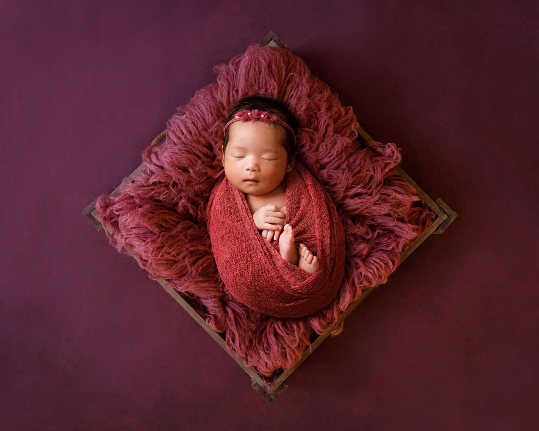 Recent newborn session in Perth