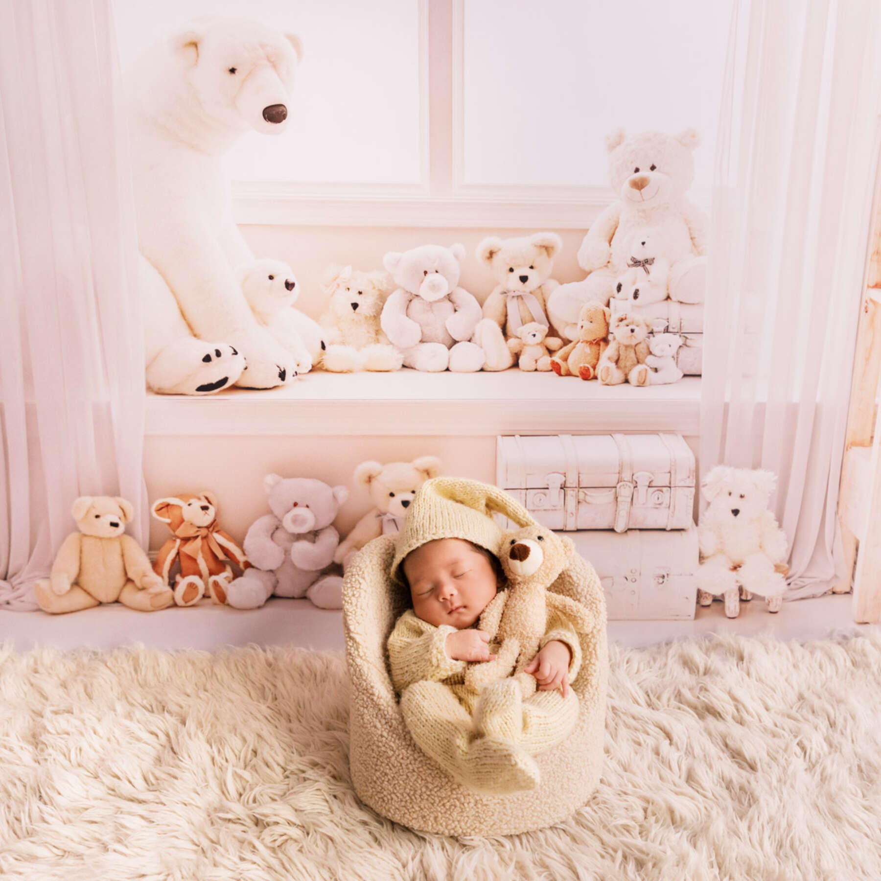 Recent newborn session in Perth