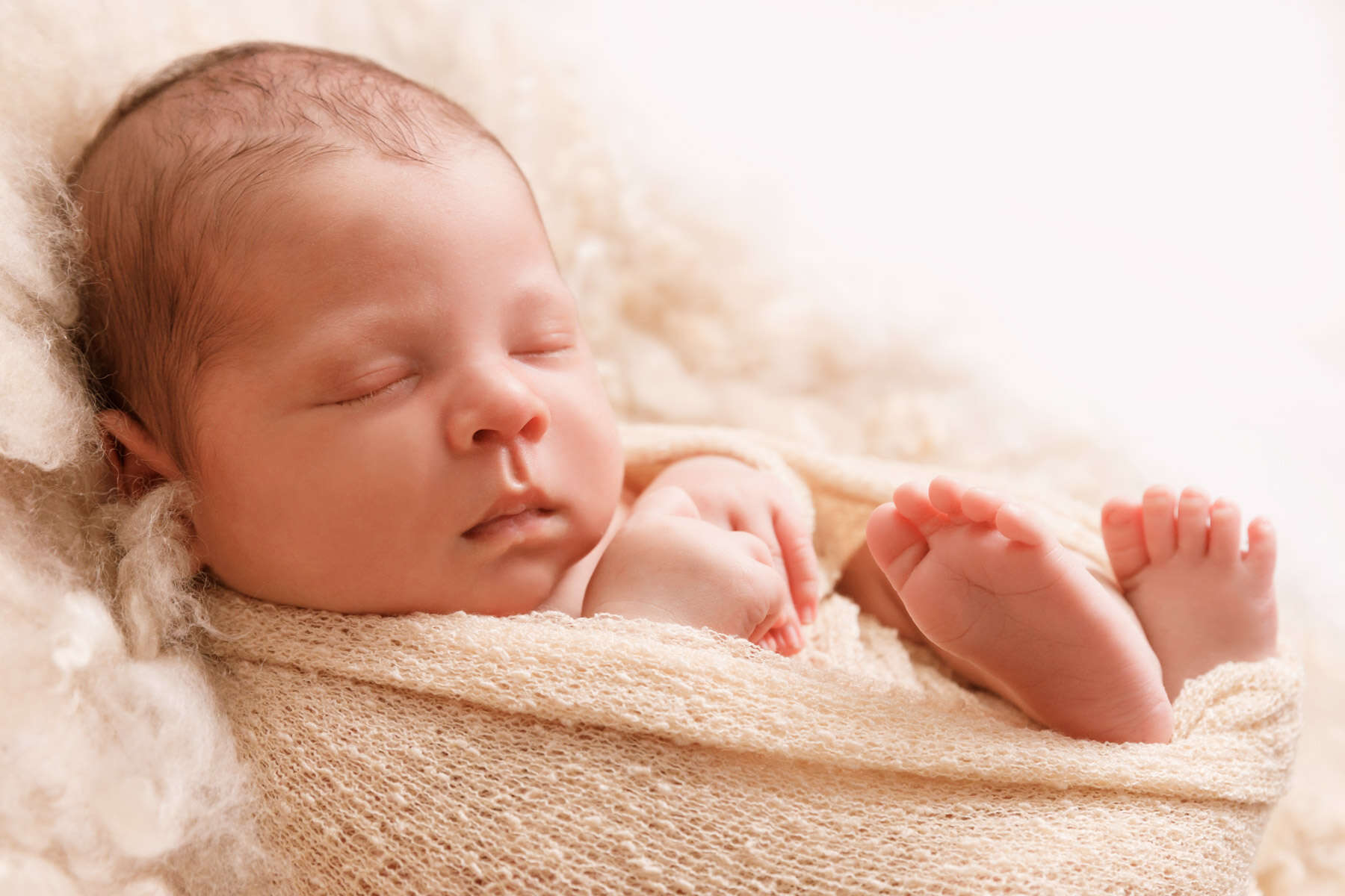 Recent newborn session in Perth