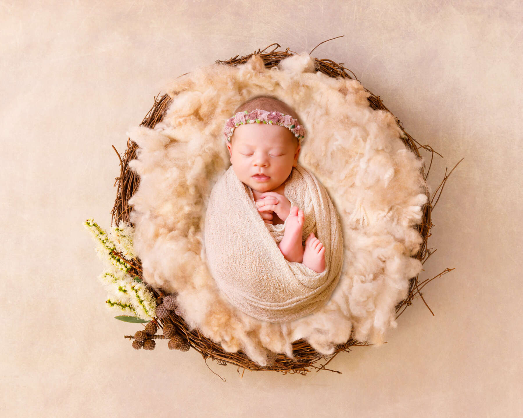 Recent newborn session in Perth