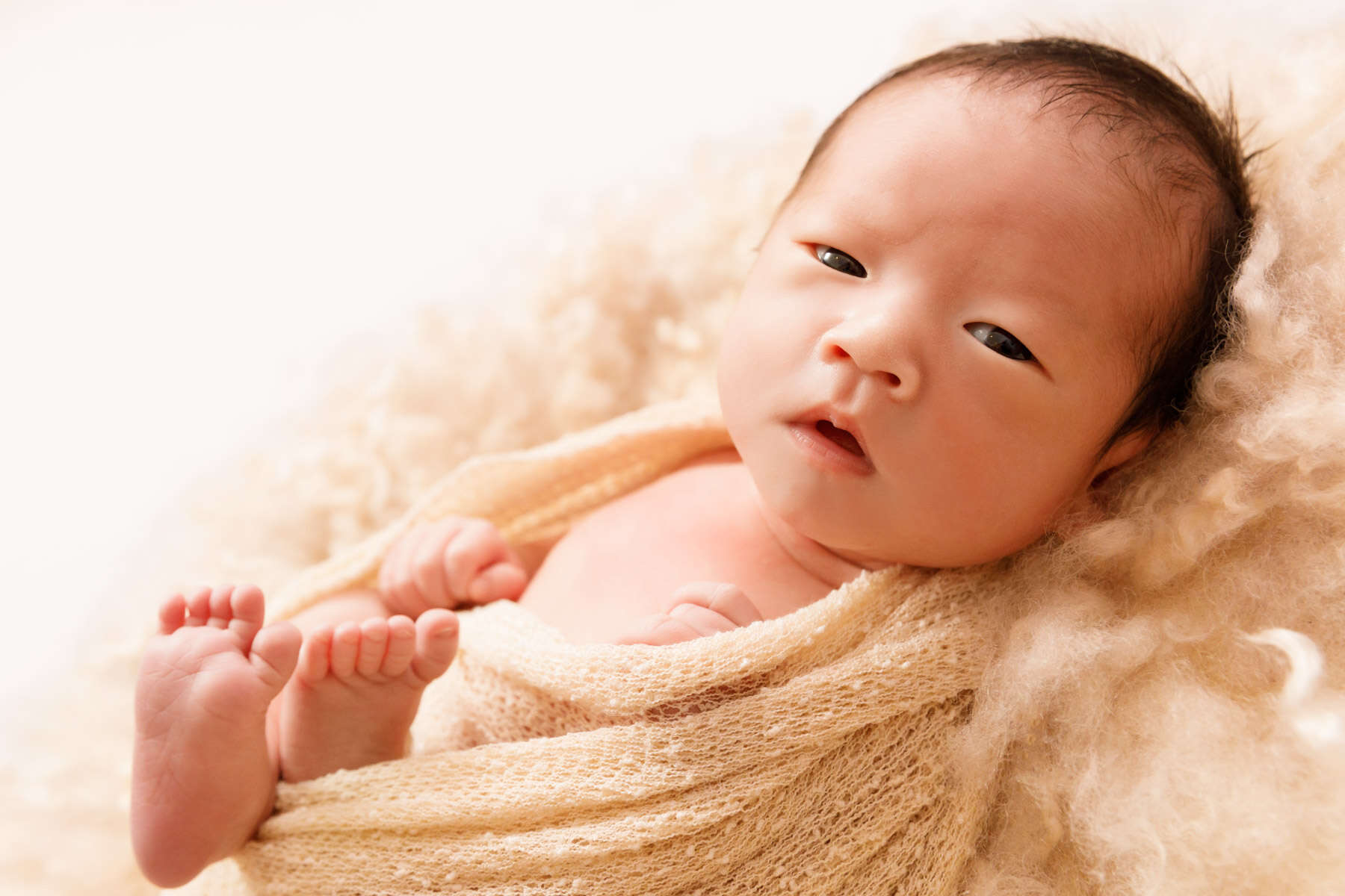 Recent newborn session in Perth