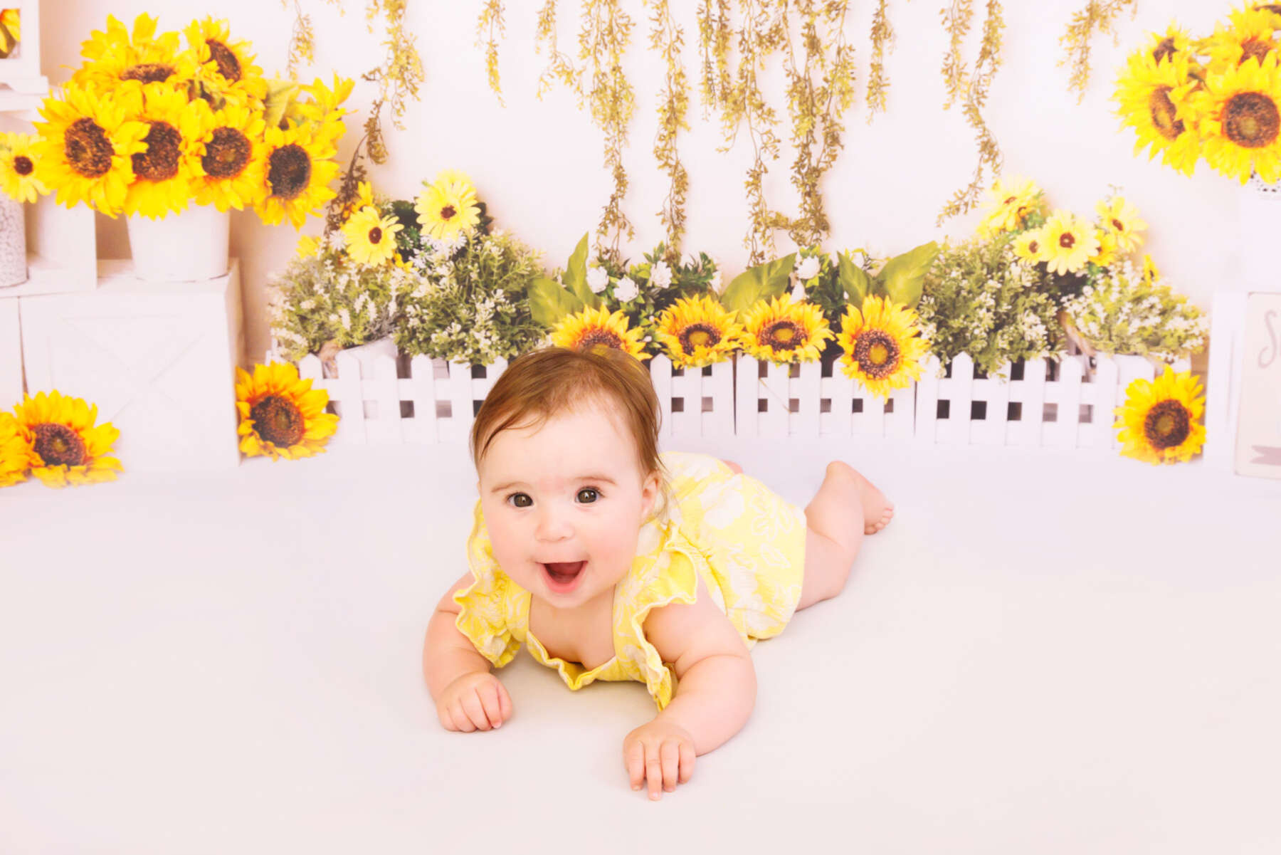 Recent baby session in Perth
