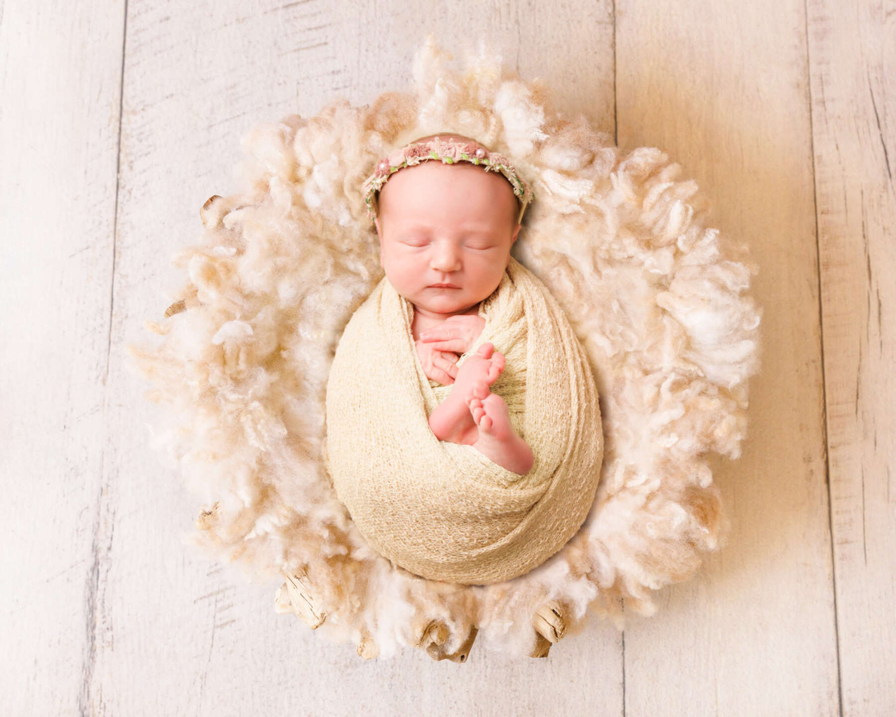 Recent newborn session in Perth