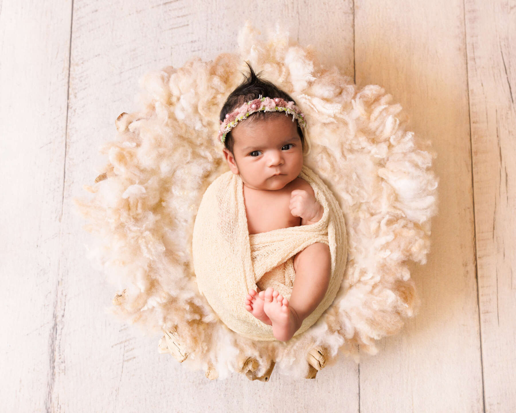Recent newborn session in Perth