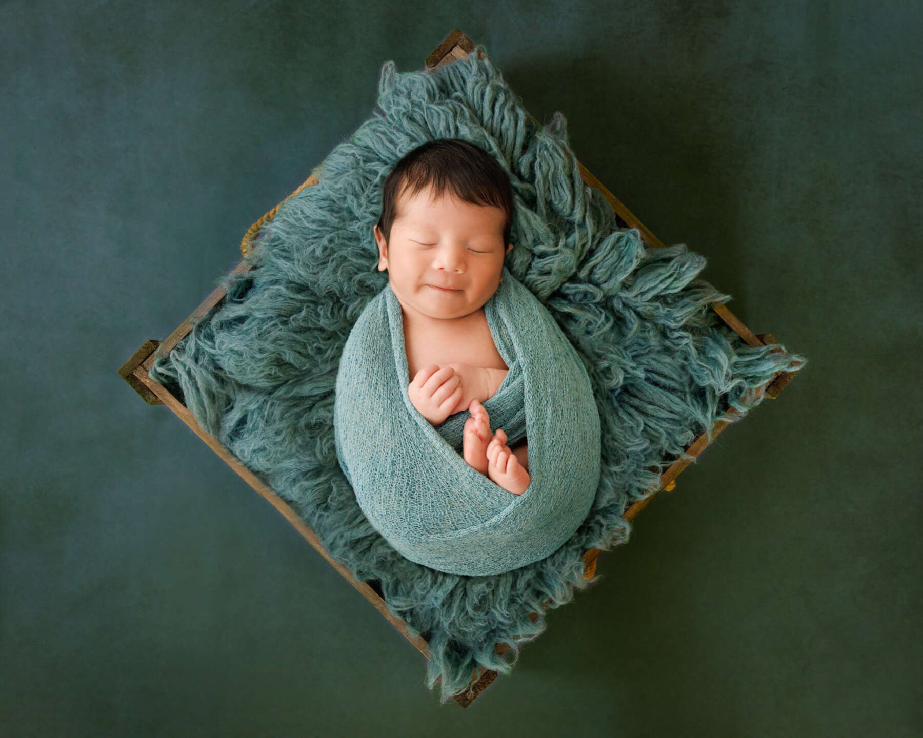 Recent newborn session in Perth