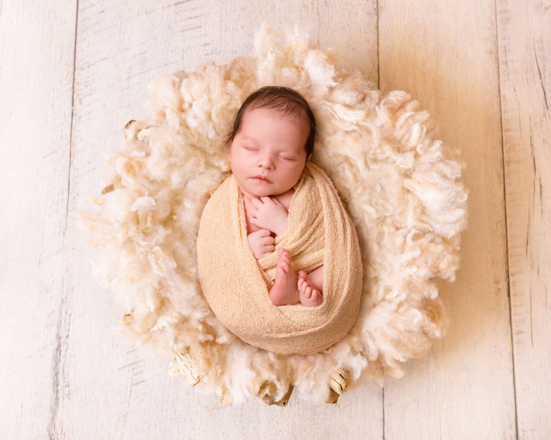 Recent newborn session in Perth