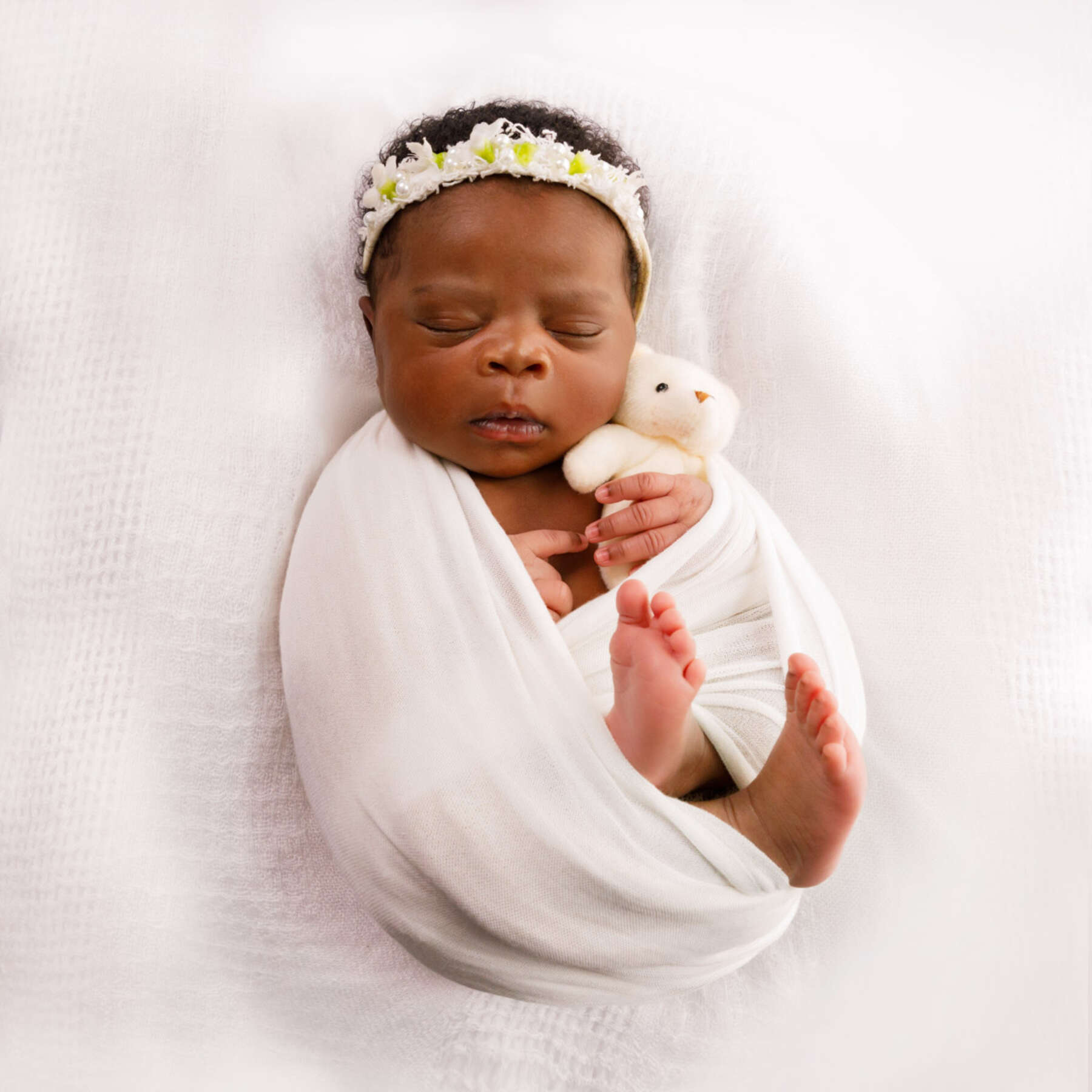 Recent newborn session in Perth