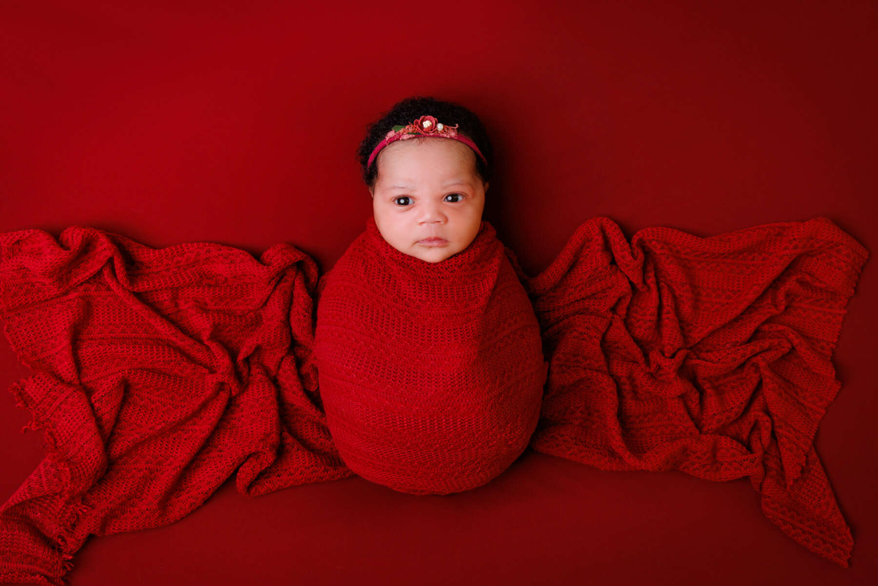Recent newborn session in Perth