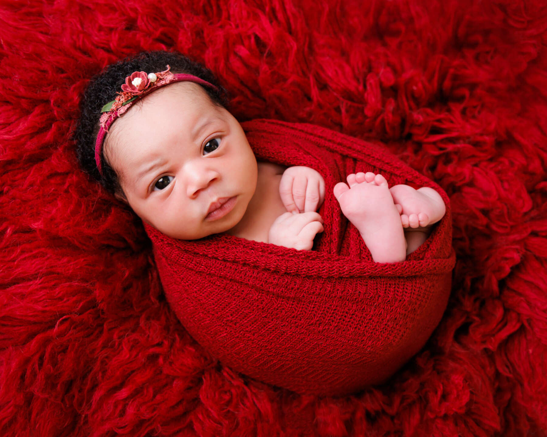 Recent newborn session in Perth
