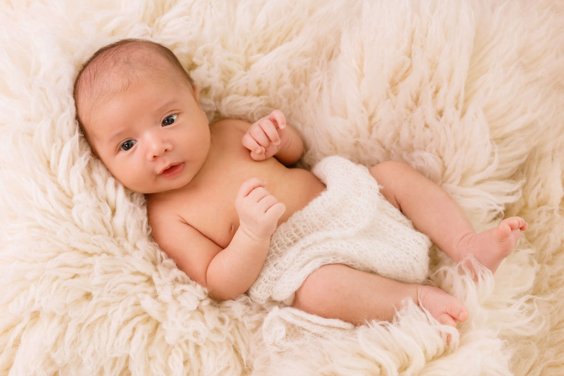 Recent newborn session in Perth