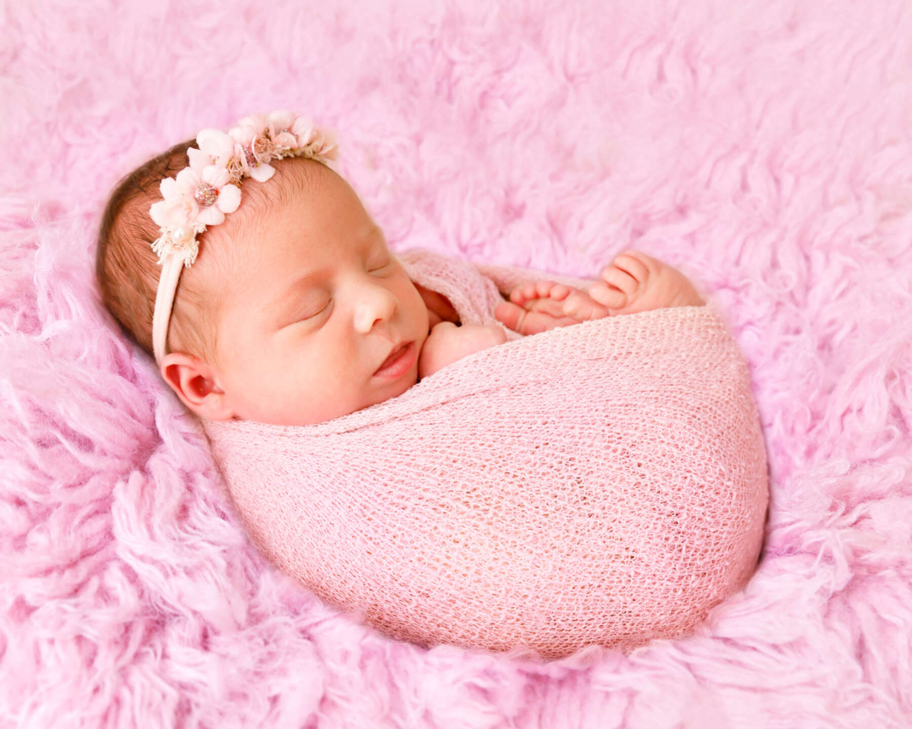 Recent newborn session in Perth