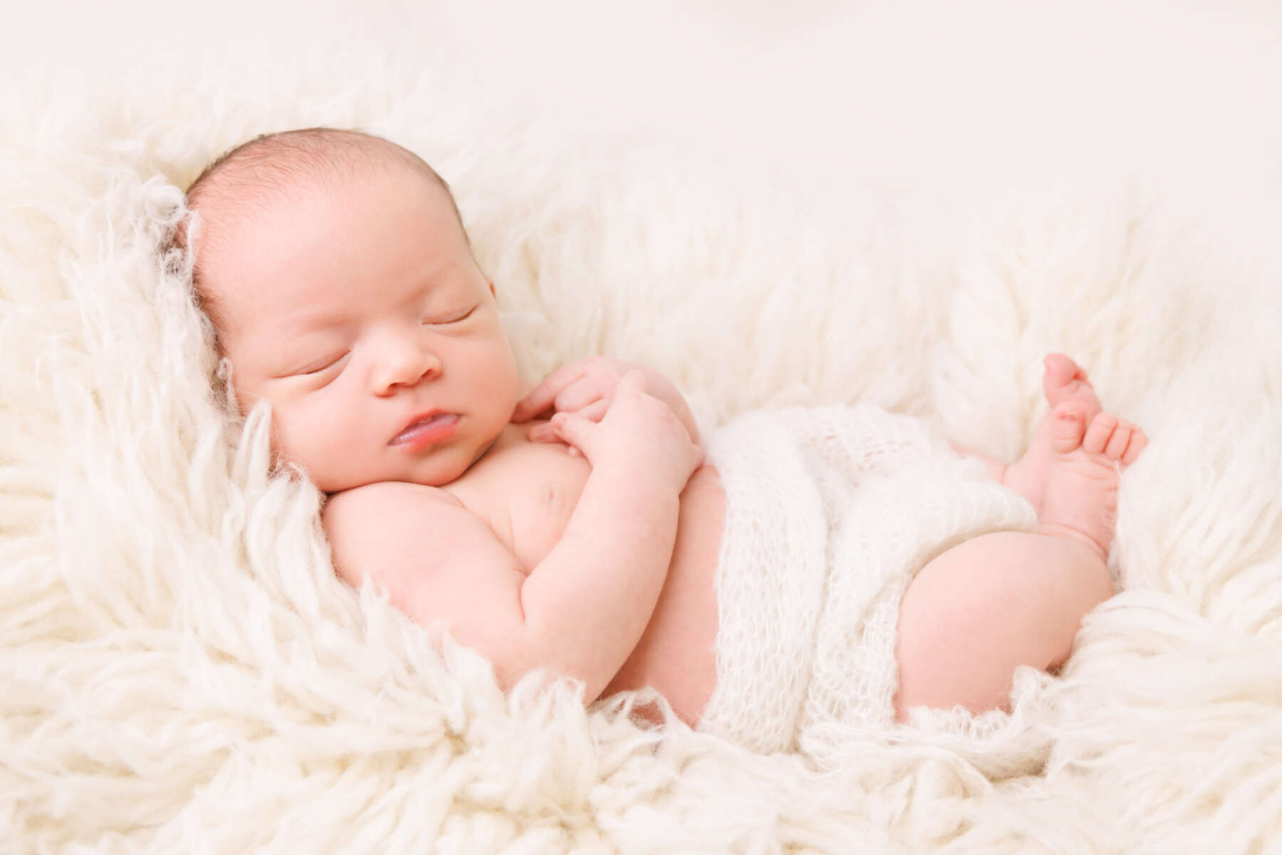Recent newborn session in Perth