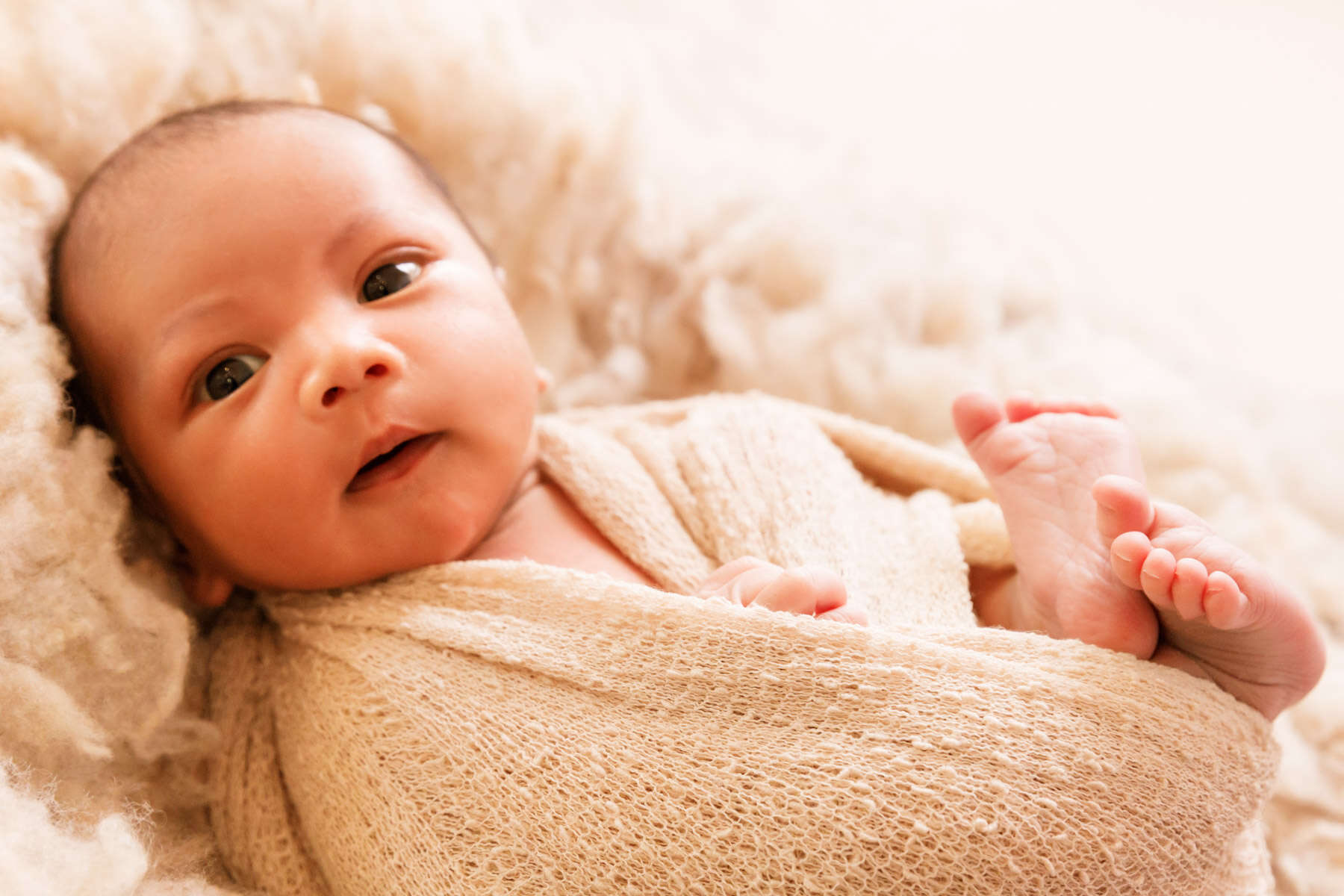 Recent newborn session in Perth