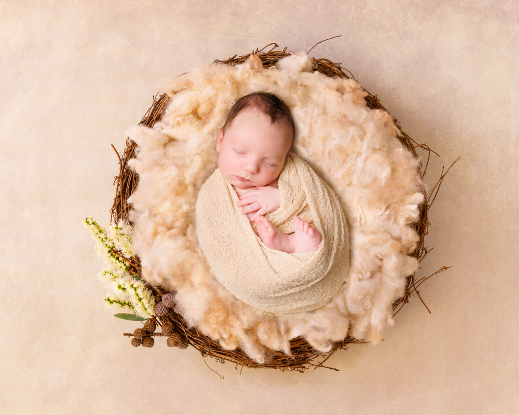 Recent newborn session in Perth