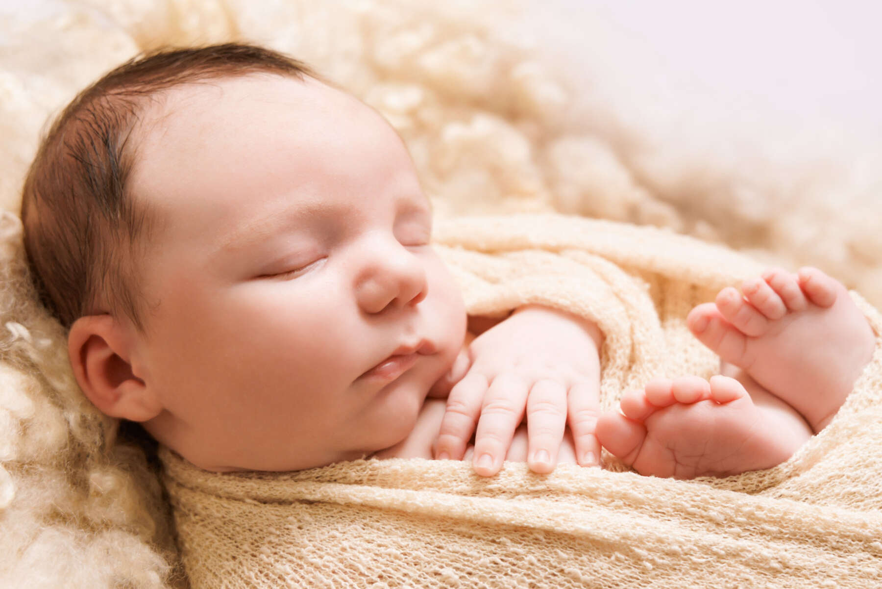 Recent newborn session in Perth