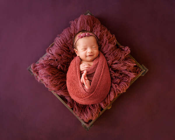 Recent newborn session in Perth