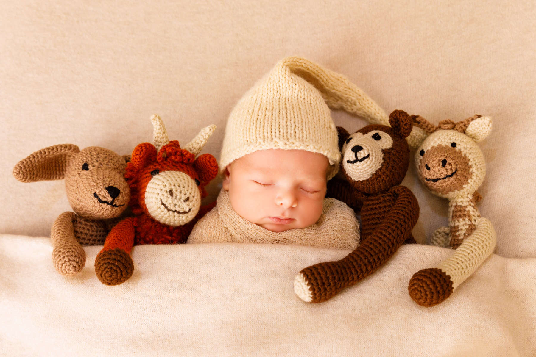 Recent newborn session in Perth