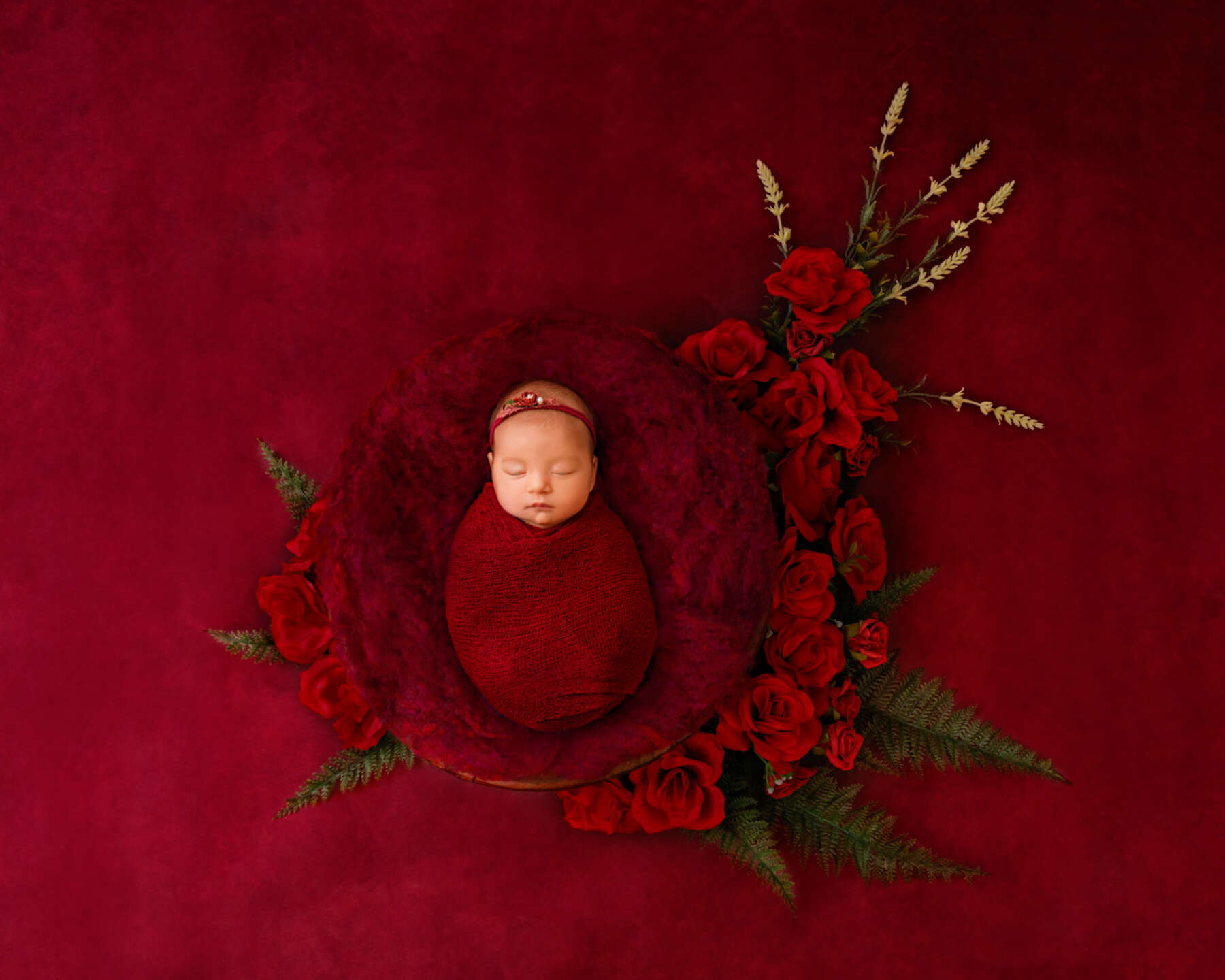 Recent newborn session in Perth