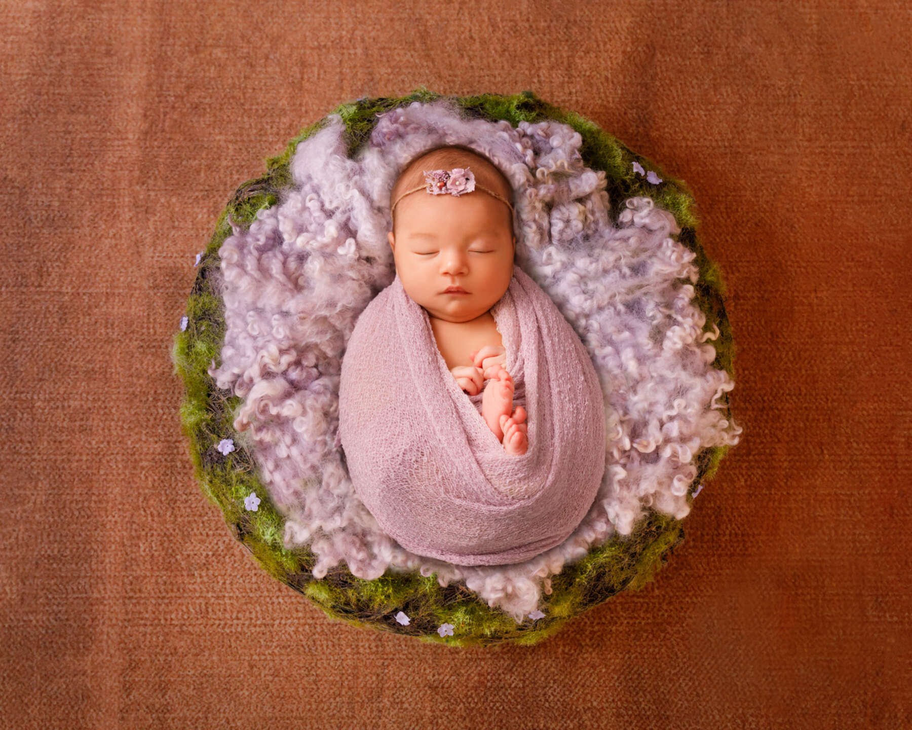 Recent newborn session in Perth