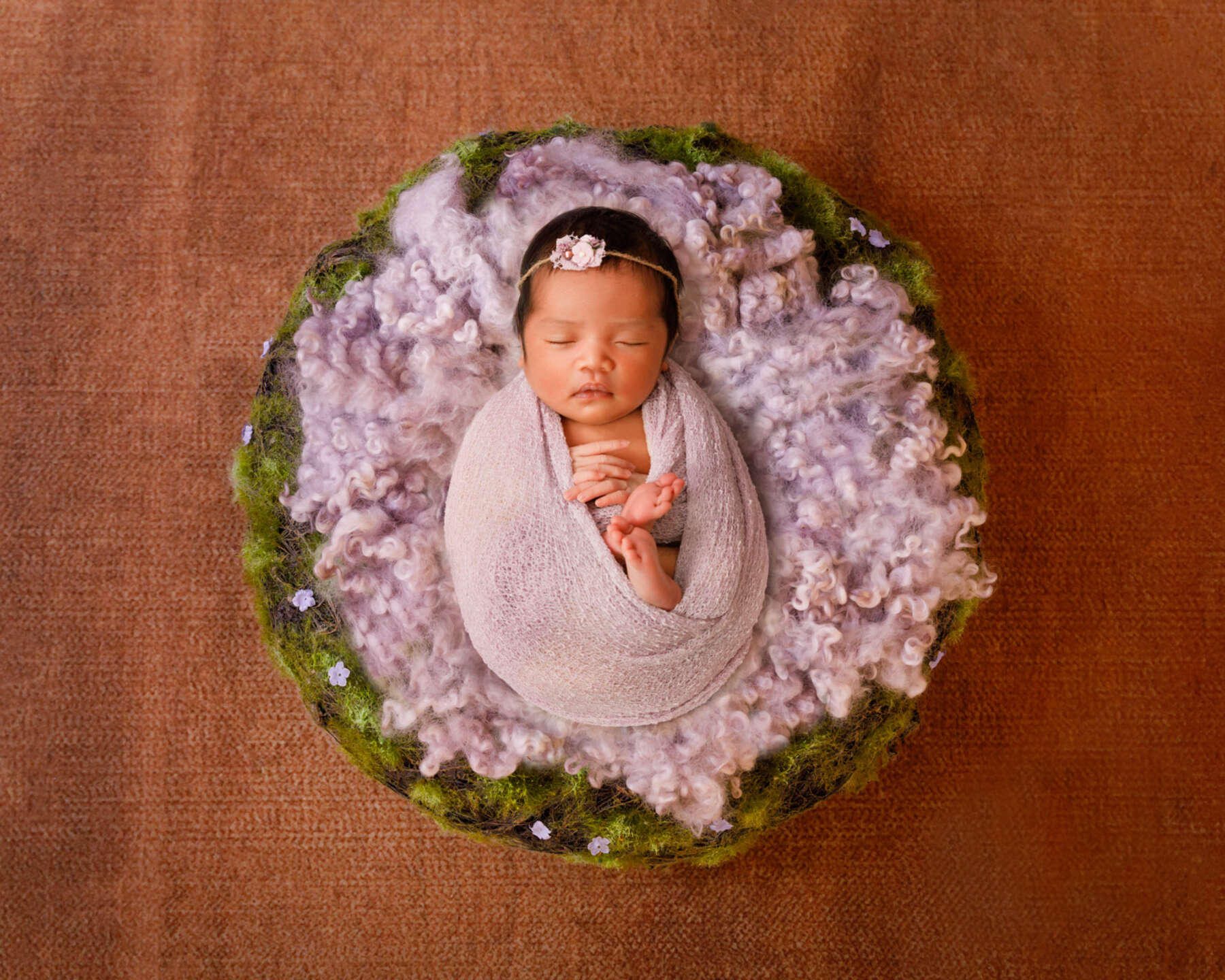 Recent newborn session in Perth