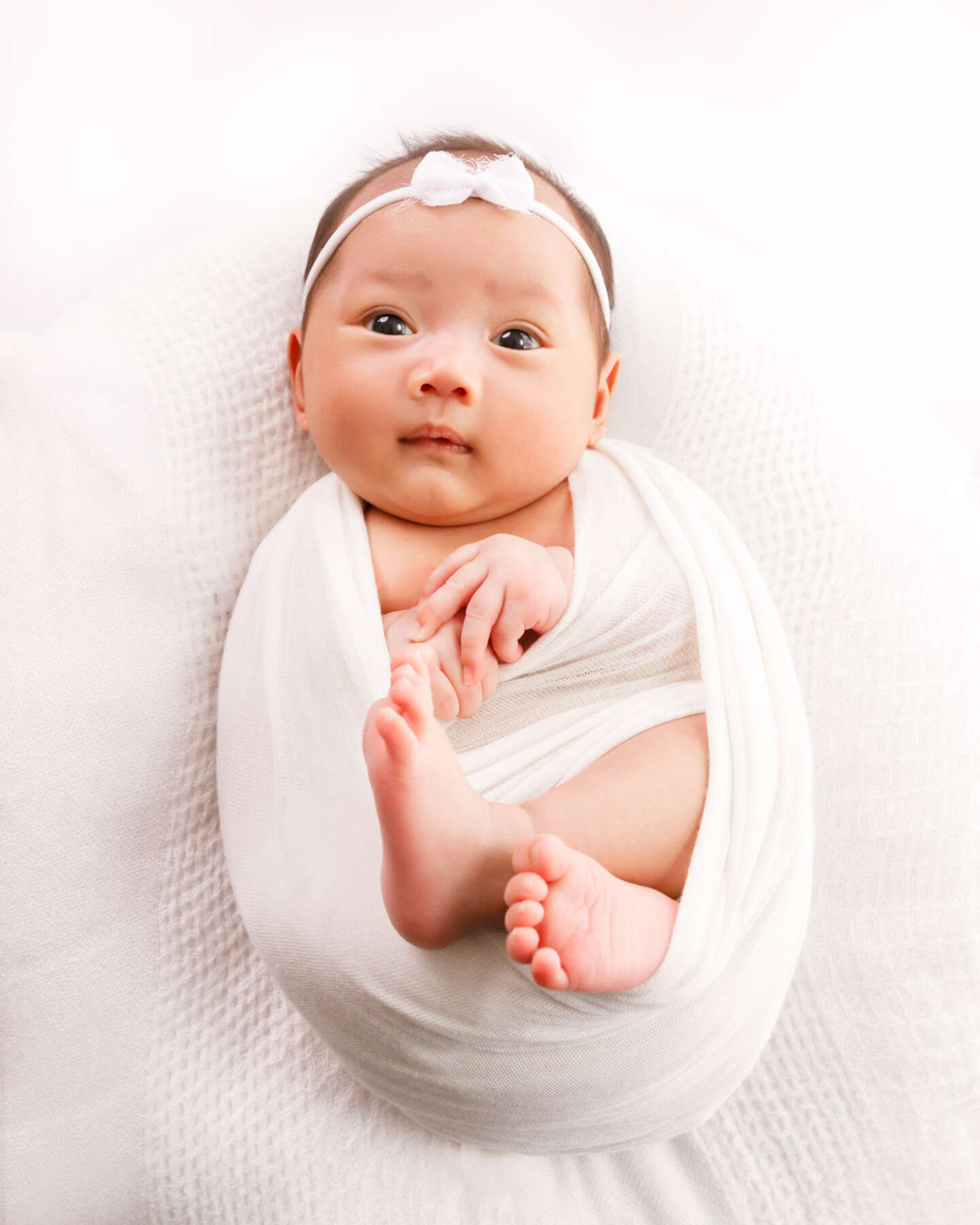 Recent newborn session in Perth