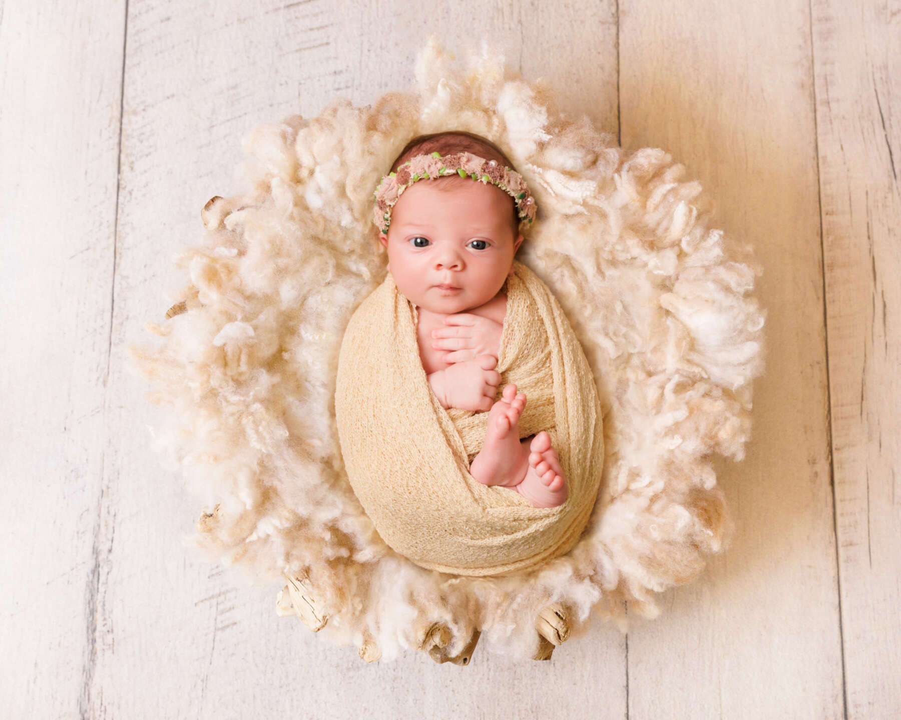 Recent newborn session in Perth