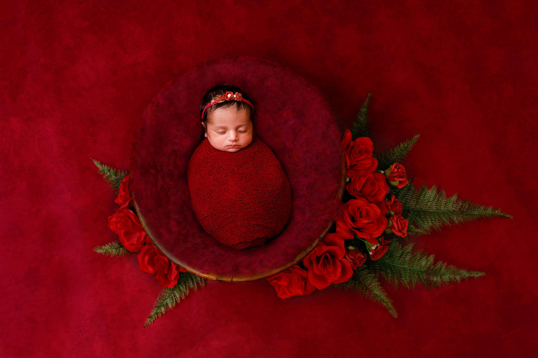 Recent newborn session in Perth