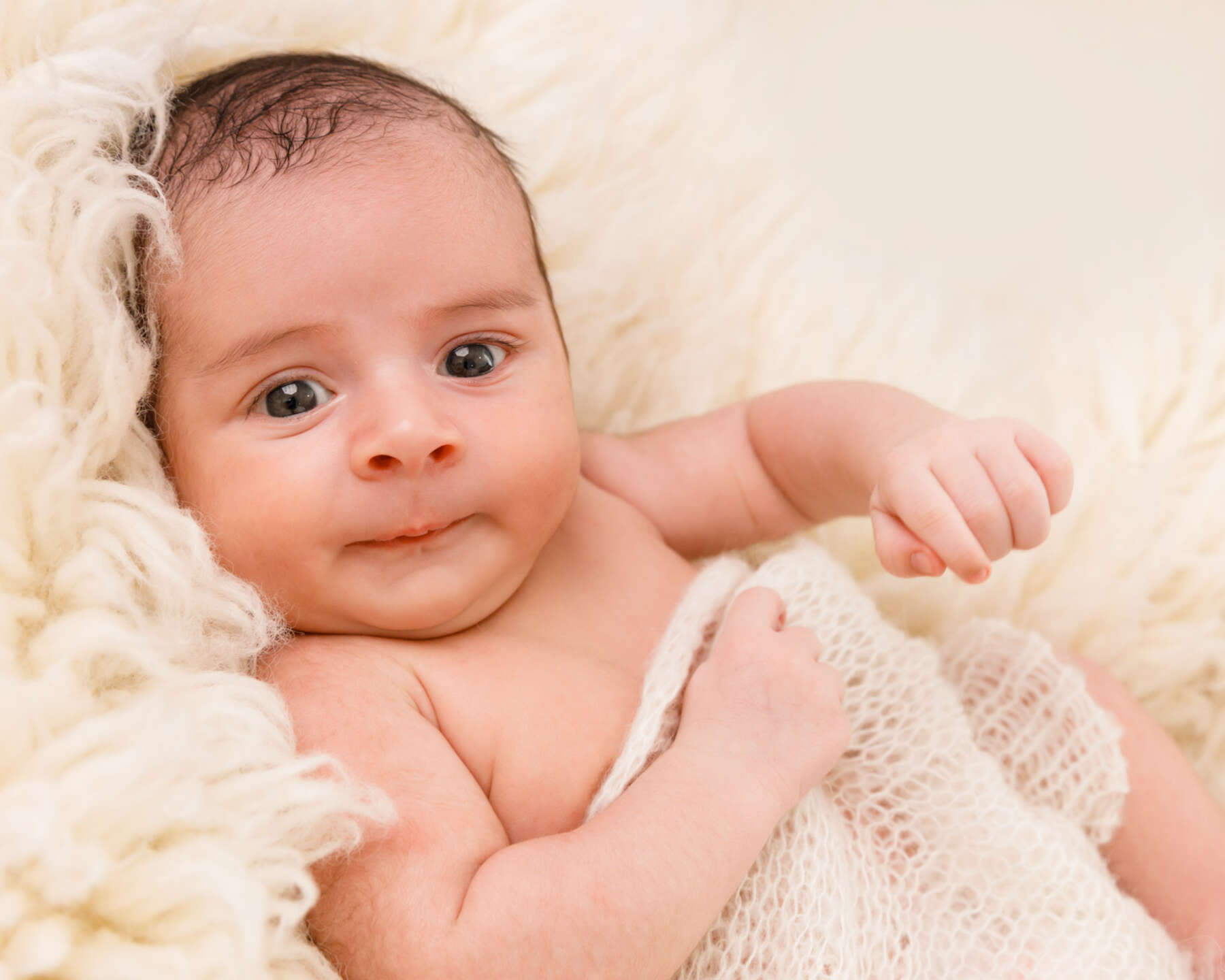 Recent newborn session in Perth