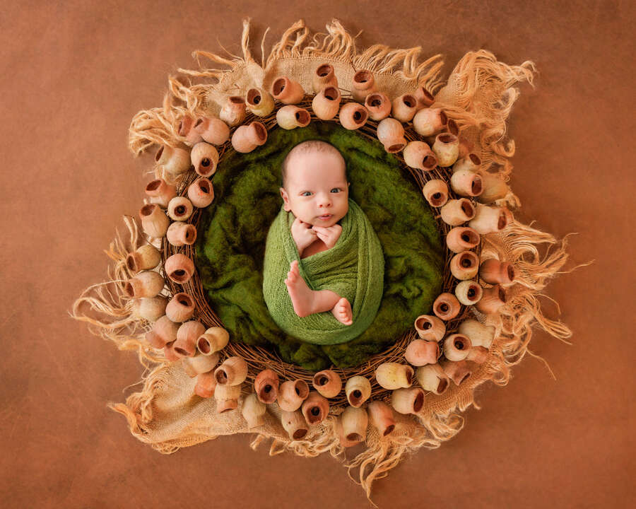 Recent newborn session in Perth