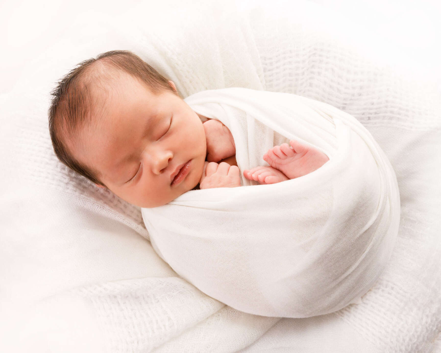 Recent newborn session in Perth