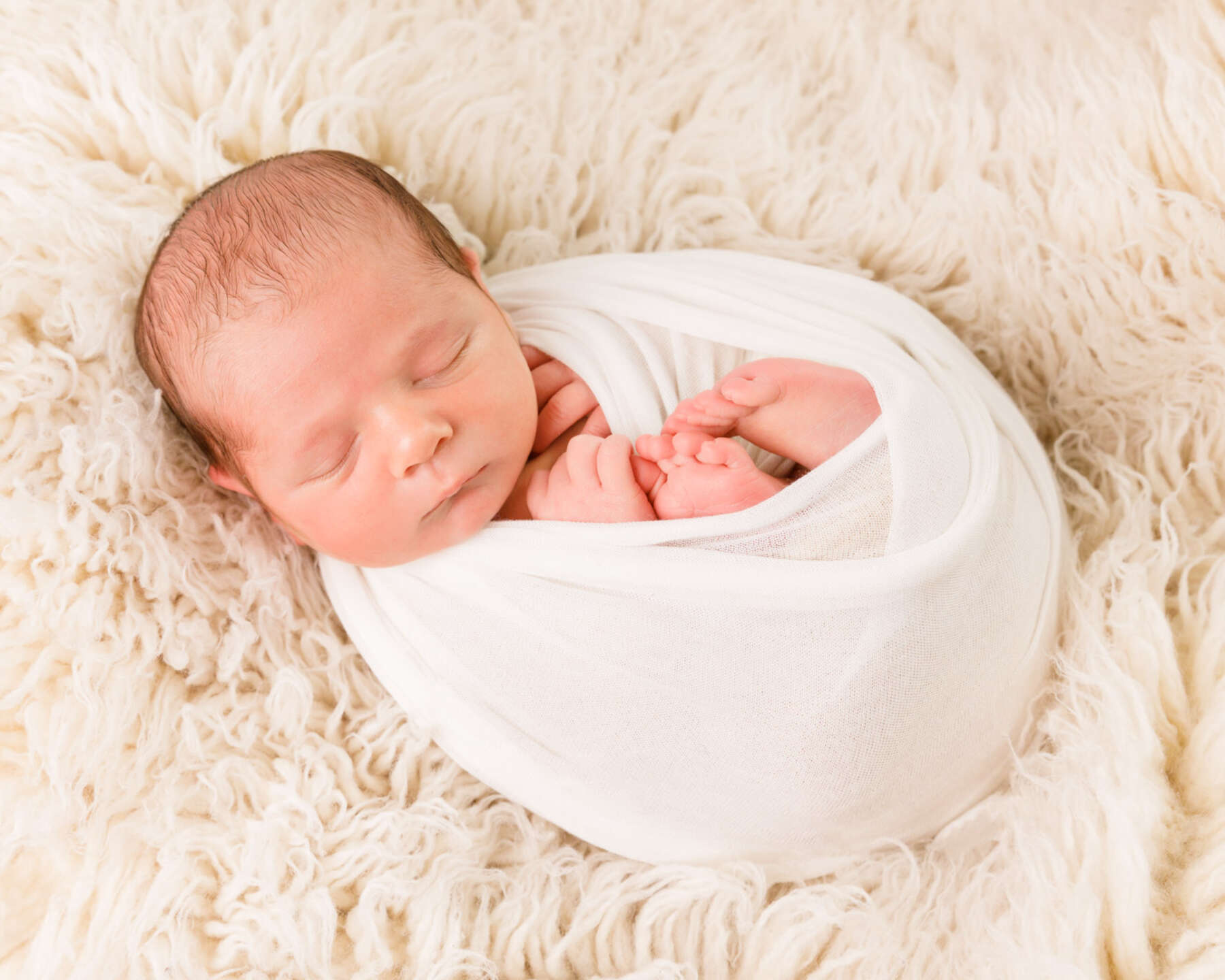 Recent newborn session in Perth
